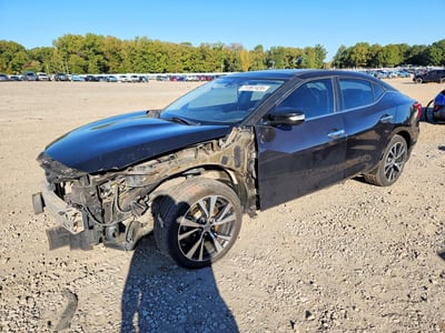 1N4AA6AP4GC****** 2016 Nissan Maxima