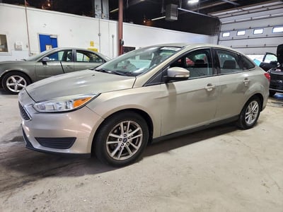 1FADP3F2XGL****** 2016 Ford Focus