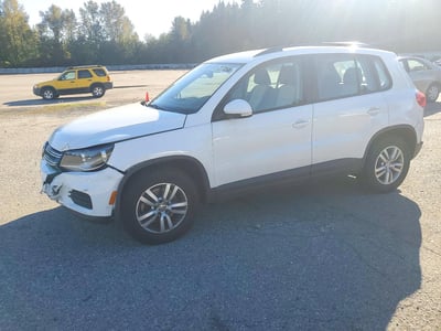 WVGBV7AX5GW****** 2016 Volkswagen Tiguan