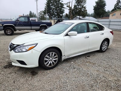 1N4AL3AP7GC****** 2016 Nissan Altima