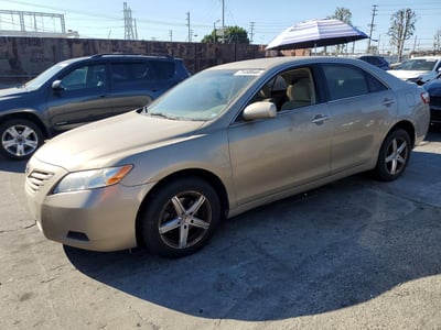 4T4BE46KX9R****** 2009 Toyota Camry