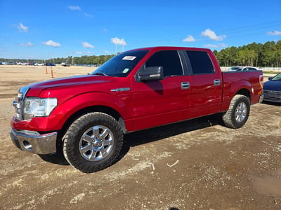 1FTEW1CM2DF****** 2013 Ford F-150