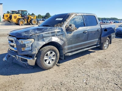 1FTEW1C81GF****** 2016 Ford F-150