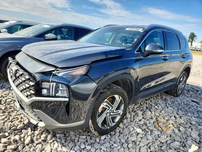 5NMS2DAJ2PH****** 2023 Hyundai Santa Fe