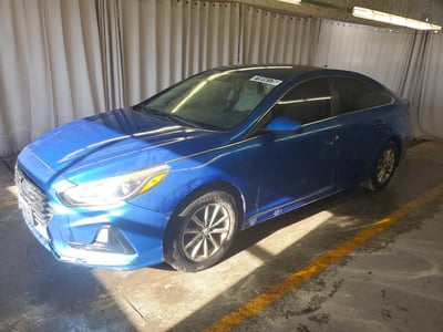 5NPE24AF2KH****** 2019 Hyundai Sonata