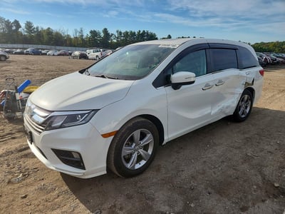 5FNRL6H72LB****** 2020 Honda Odyssey