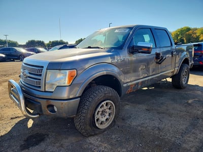 1FTFW1EV8AF****** 2010 Ford F-150