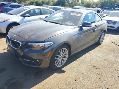 WBA1G9C56GV****** 2016 BMW 2 Series