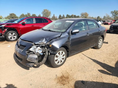 1NXBU40E49Z****** 2009 Toyota Corolla