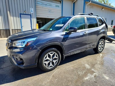 JF2SKAGC9KH****** 2019 Subaru Forester