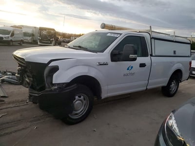 1FTMF1C51KK****** 2019 Ford F-150