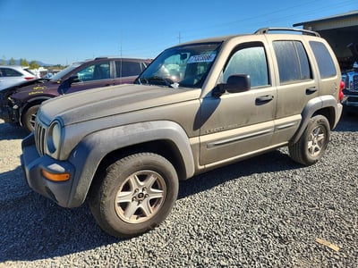 1J4GL48K13W****** 2003 Jeep Liberty