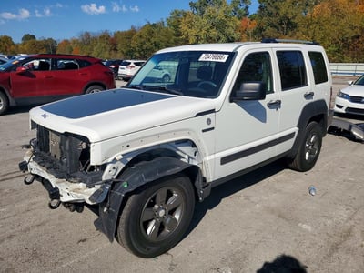 1J4PN3GK3AW****** 2010 Jeep Liberty