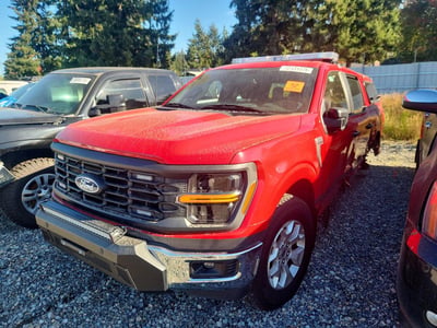 1FTFW1P88RK****** 2024 Ford F-150 Police Responder