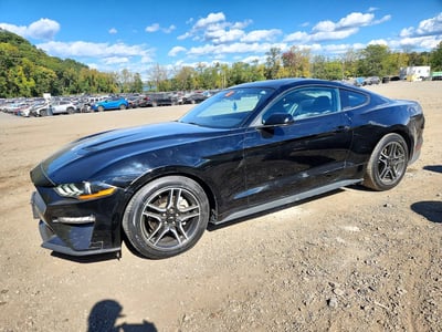 1FA6P8TH3M5****** 2021 Ford Mustang