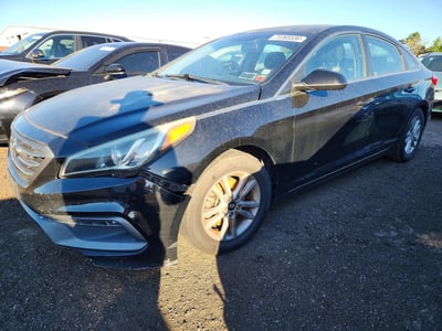 5NPE24AF8FH****** 2015 Hyundai Sonata