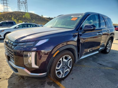 KM8R5DGE0RU****** 2024 Hyundai Palisade