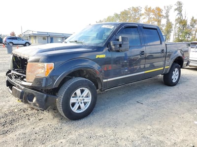 1FTFW1E63BF****** 2011 Ford F-150
