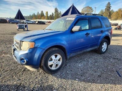 1FMCU9DG6AK****** 2010 Ford Escape