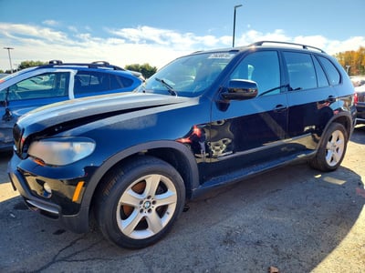 5UXFE43599L****** 2009 BMW X5