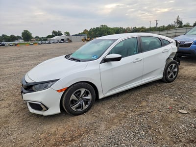 2HGFC2F64KH****** 2019 Honda Civic