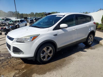 1FMCU0G90EU****** 2014 Ford Escape