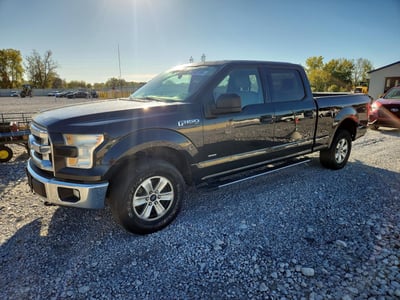 1FTFW1EG7FF****** 2015 Ford F-150