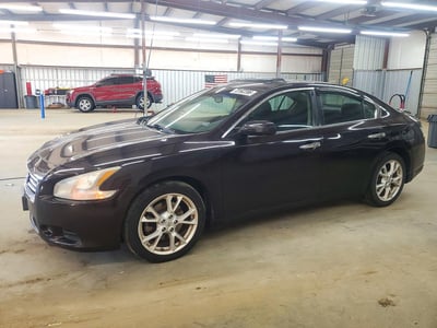 1N4AA5AP0DC****** 2013 Nissan Maxima