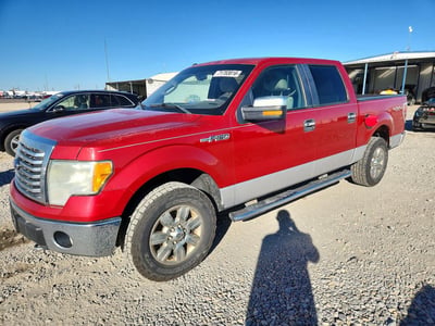 1FTEW1E86AF****** 2010 Ford F-150