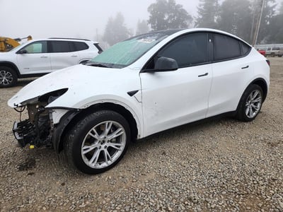 7SAYGDEE5PF****** 2023 Tesla Model Y