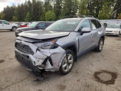 2T3DWRFV9KW****** 2019 Toyota RAV4