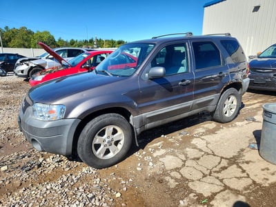 1FMYU93135K****** 2005 Ford Escape
