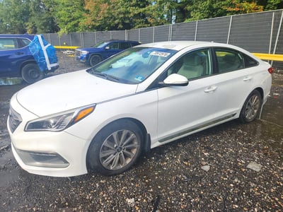5NPE34AF3HH****** 2017 Hyundai Sonata
