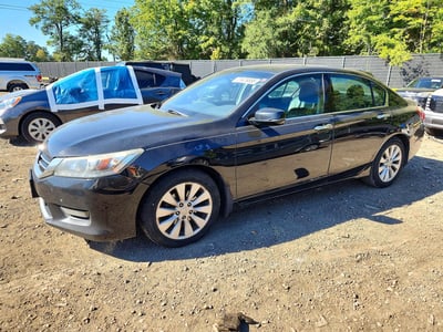 1HGCR3F80FA****** 2015 Honda Accord