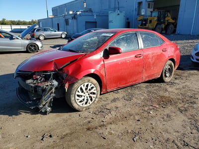 2T1BURHE8KC****** 2019 Toyota Corolla