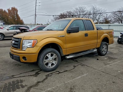 1FTRX12W39F****** 2009 Ford F-150
