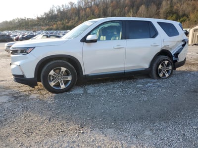 2025 Honda Pilot