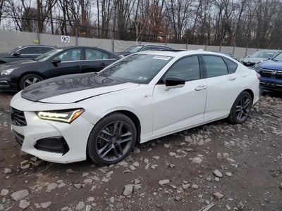 19UUB6F55RA****** 2024 Acura TLX