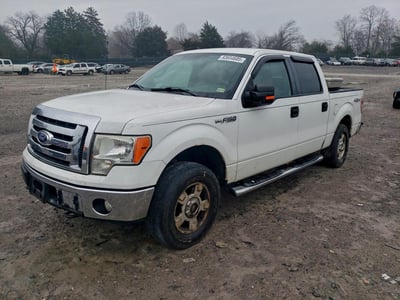 2010 Ford F-150