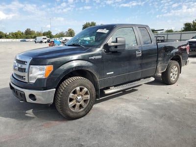 1FTFX1ET1DF****** 2013 Ford F-150