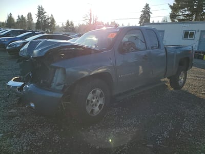 2GCEK290191****** 2009 Chevrolet Silverado 1500