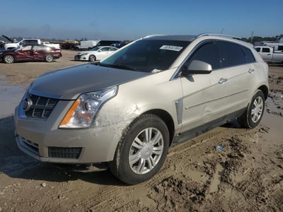 3GYFNBE30GS****** 2016 Cadillac SRX