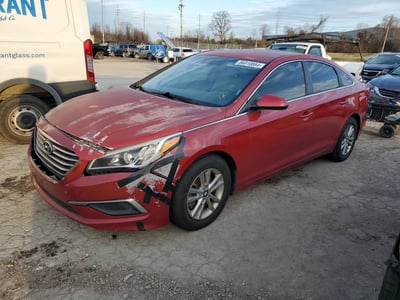 5NPE24AFXHH****** 2017 Hyundai Sonata