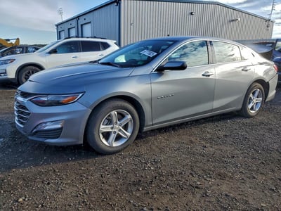 1G1ZD5ST8RF****** 2024 Chevrolet Malibu