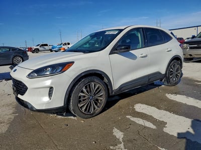 1FMCU0G63MU****** 2021 Ford Escape