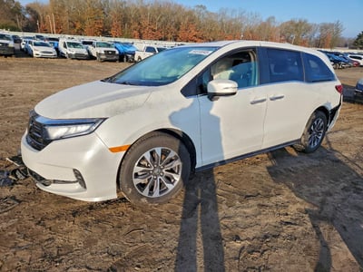 5FNRL6H72NB****** 2022 Honda Odyssey
