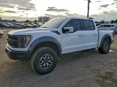 1FTFW1RG1PF****** 2023 Ford F-150