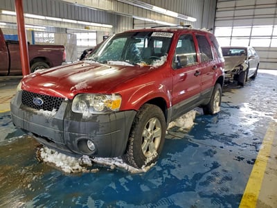 1FMYU03Z37K****** 2007 Ford Escape
