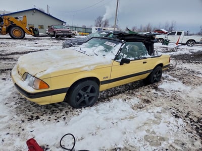 1FABP44EXKF****** 1989 Ford Mustang