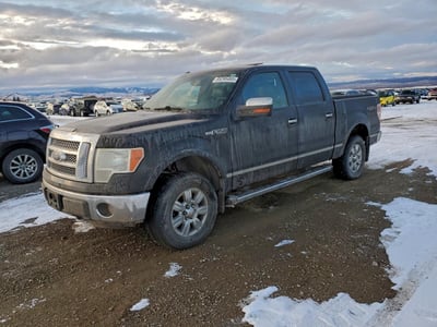 1FTFW1EFXBF****** 2011 Ford F-150